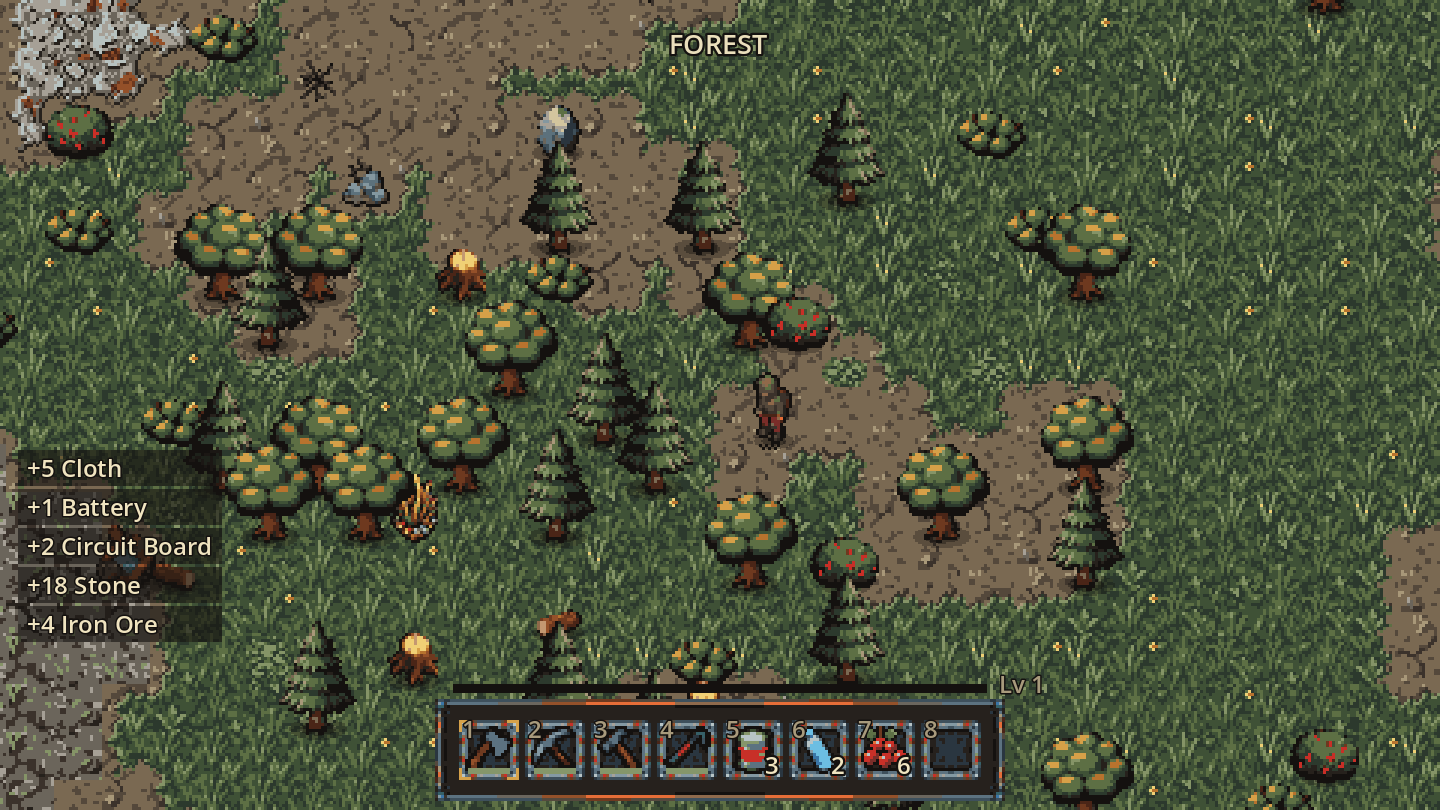 The forest biome
